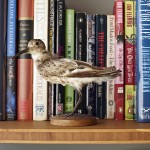 Bookshelf Detail Bookshelf Detail