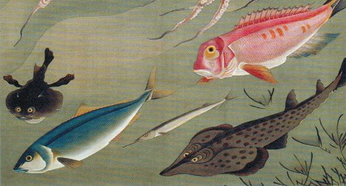 Fish